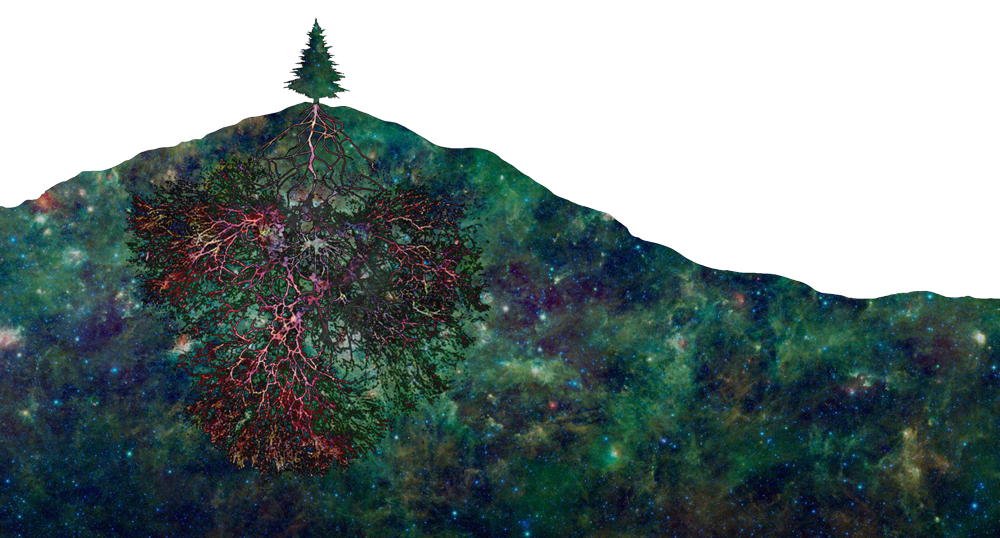 EC Brown cover image