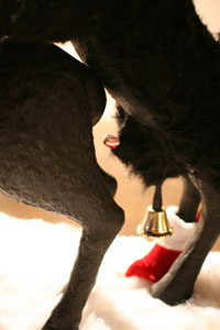 Christopher Smith & Kevin Jennings, sculpture detail
