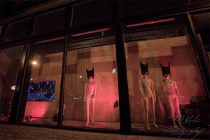 Front windows, Co-Prosperity Sphere. Photo by Rob Karlic