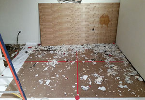 Aftermath of plate smashing
