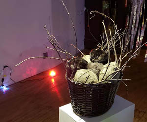 Stephanie Burke, Krampus eggs